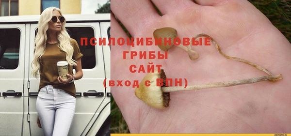 соль ск Дубна