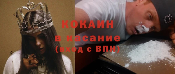 сатива Тавда