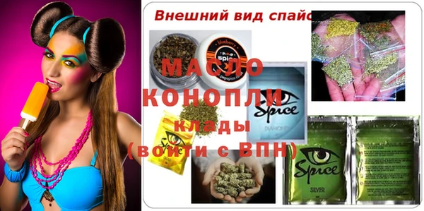 дживик Сясьстрой