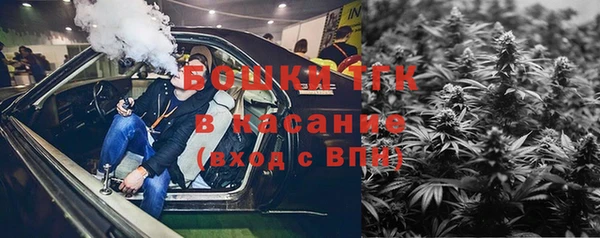 индика Волоколамск