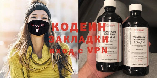 индика Волоколамск