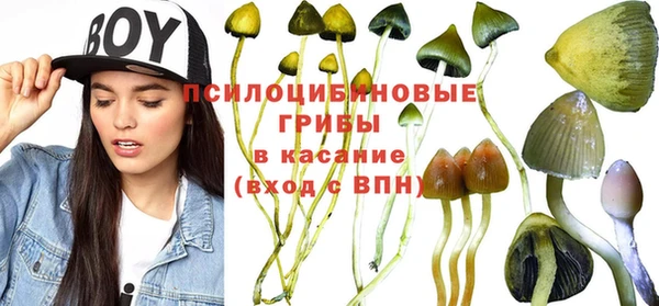ГАЛЛЮЦИНОГЕННЫЕ ГРИБЫ Дрезна