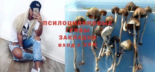 шишки Богородицк