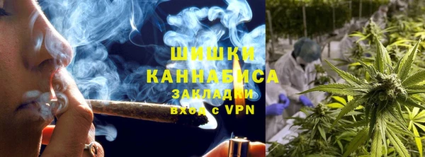 соль ск Дубна