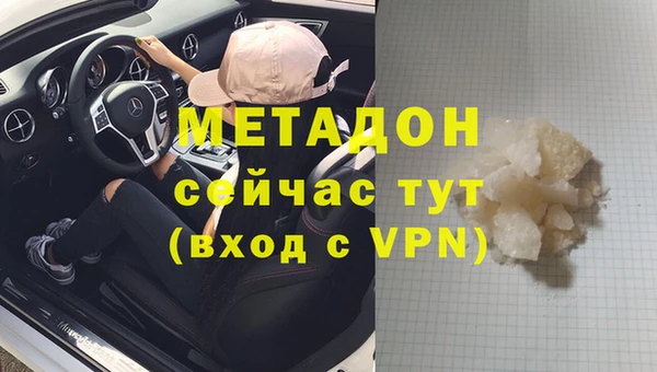 сатива Тавда