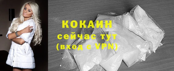 индика Волоколамск